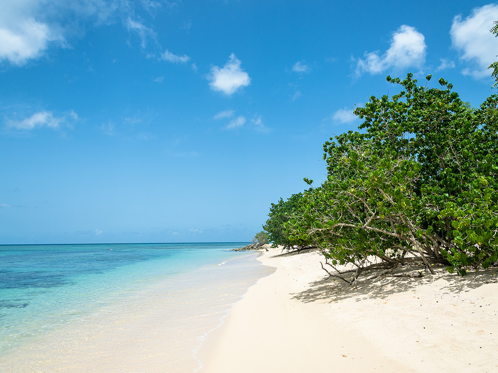 voyage_guadeloupe_circuit_amplitudes_caraibes