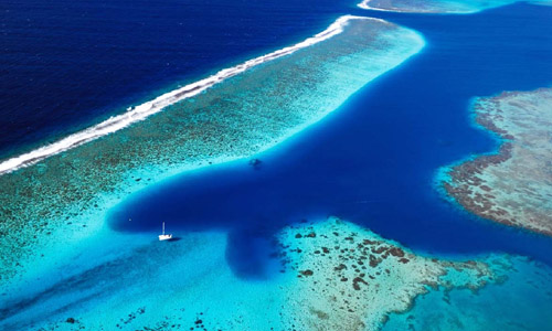 plongee_polynesie_francaise_croisiere_catamaran