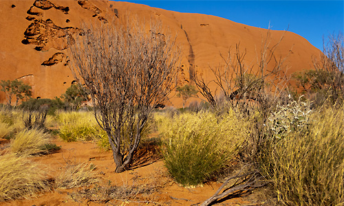 vacances_sur_mesure_australie_visite_alice_springs