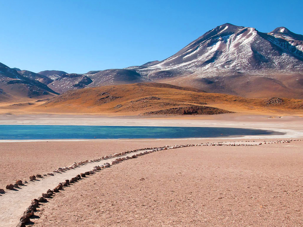 sejour_chili_coeur_des_andes_miscanti_atacama