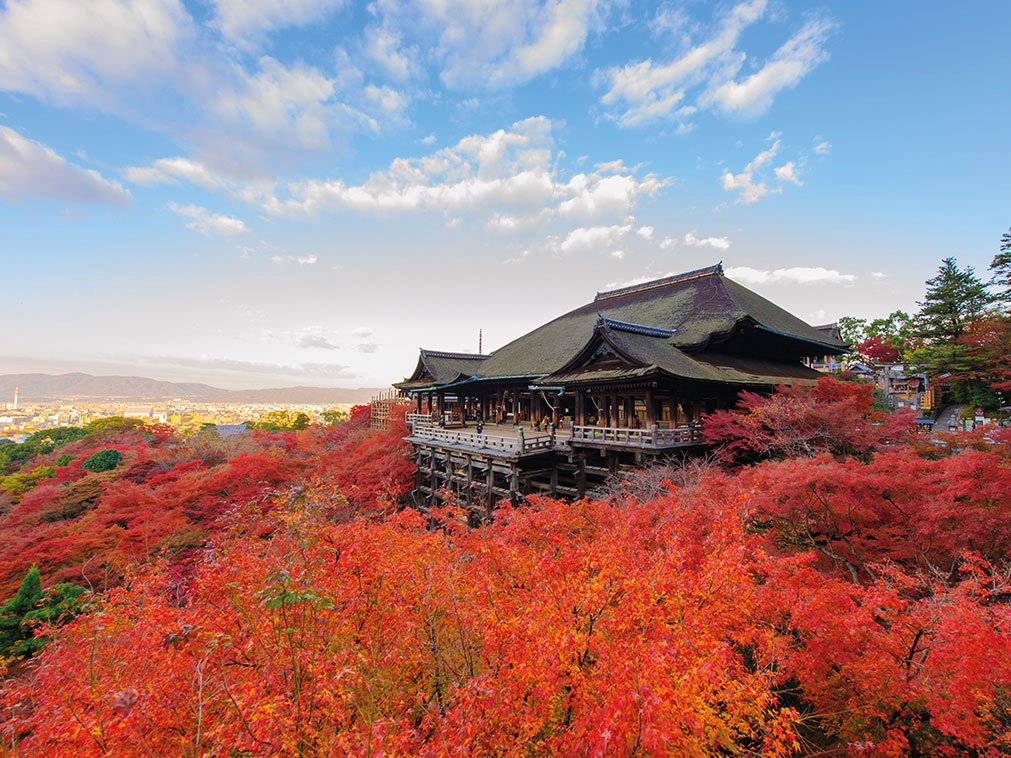 sejour_decouverte_japon_mont_koya_kongobu_ji_osaka