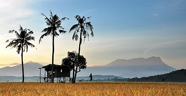 cabane_borneo_mont_kinabalu_accroche