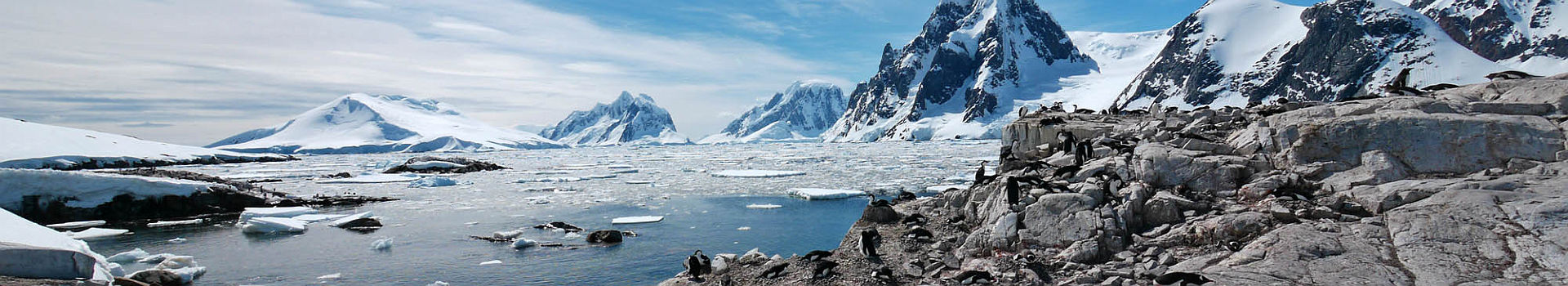 Croisière Quark Antarctique