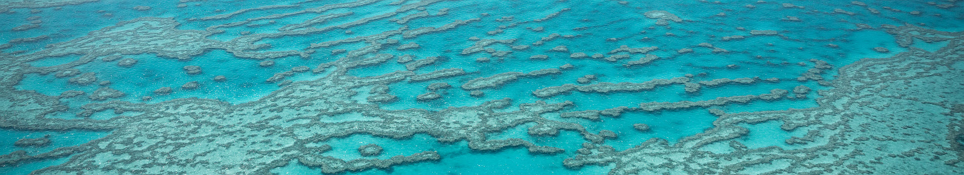 Australie - Vue sur la grande barrière de corail à Queensland