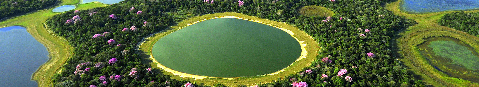 Brésil - Vue sur la région du Pantanal