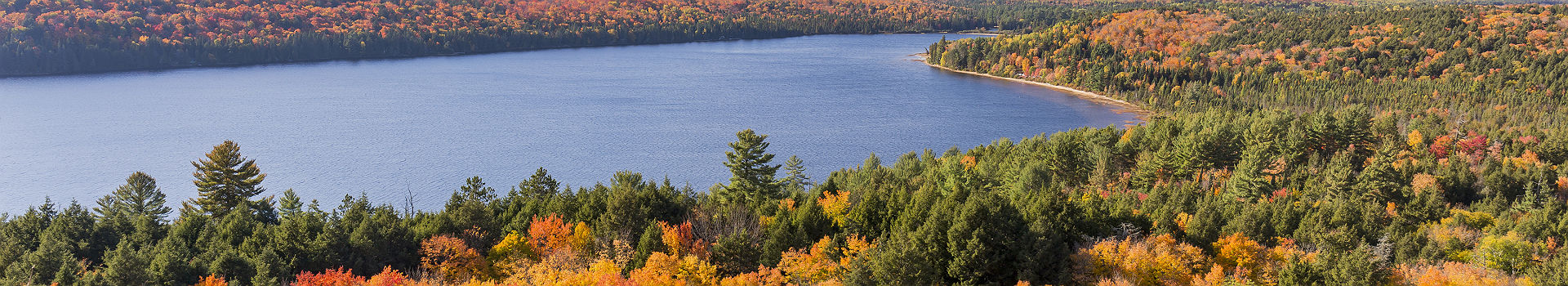 Canada - Vue sur un lac dans le parc d'Algonquin