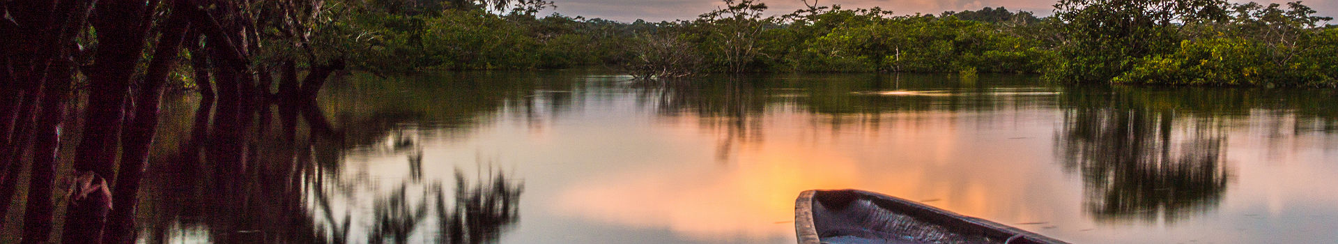 Beautiful landscape. Cuyabeno Wildlife Reserve, Ecuador. Canoe in the foreground.