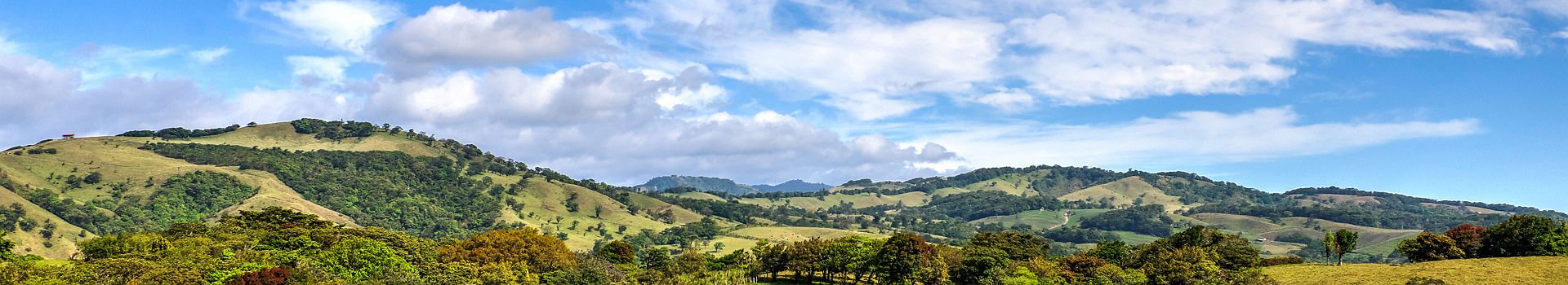 Costa Rica - Vue sur les collines et les plantations de café à Monteverde