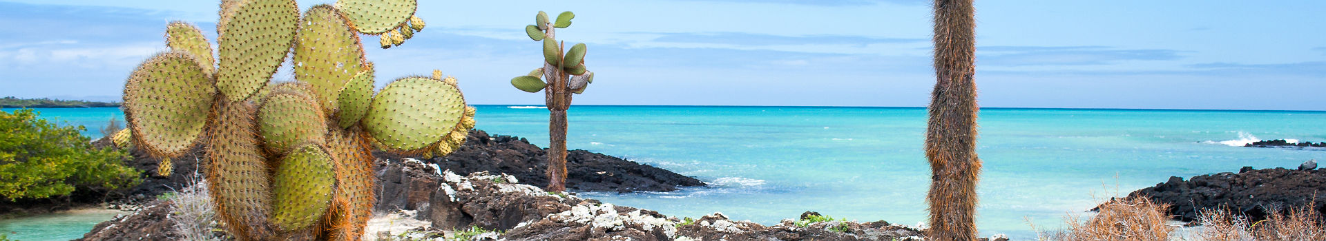 Iles Galapagos - Equateur