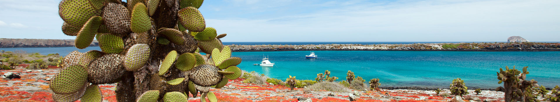 Iles Galapagos - Equateur