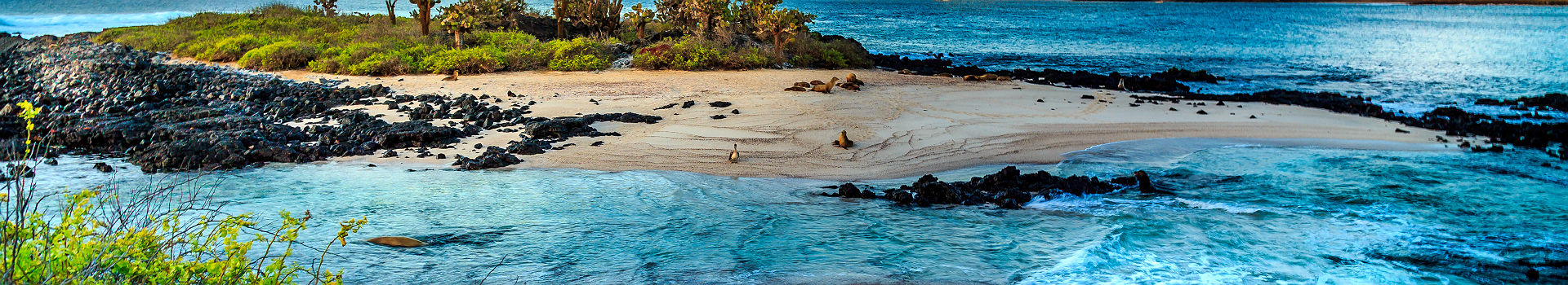 Iles Galapagos