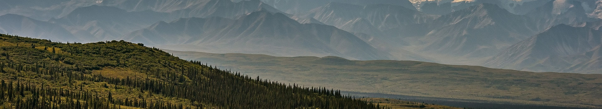 Alaska - Parc National Denali