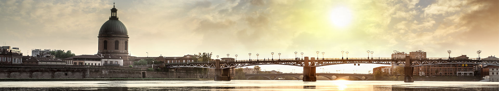 Le Pont Saint Pierre à Toulouse - France