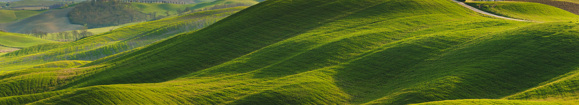 Toscane - Sur les prairies de la région italienne