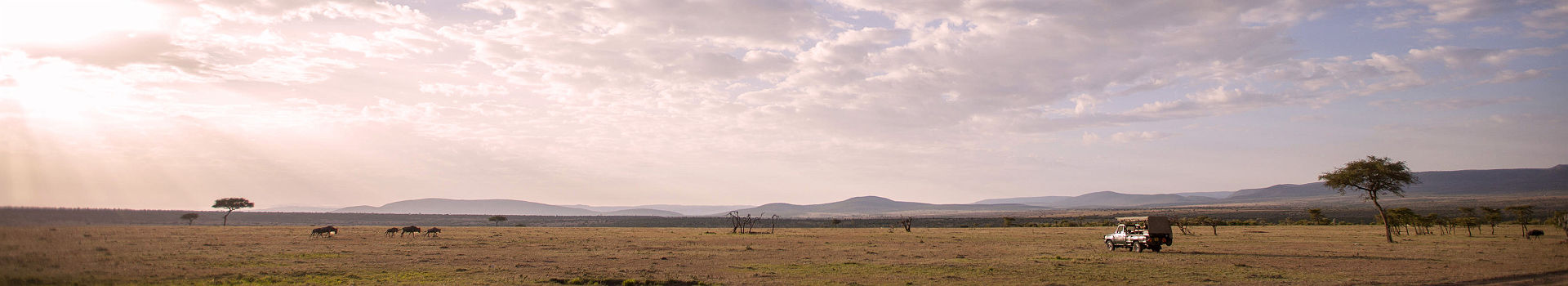 Africa Encounter Mara