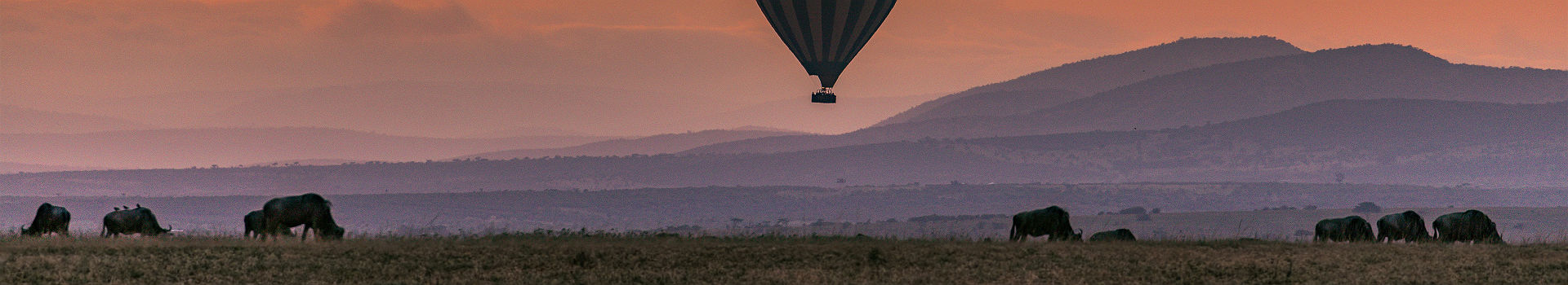 Montgolfiere au Serengeti