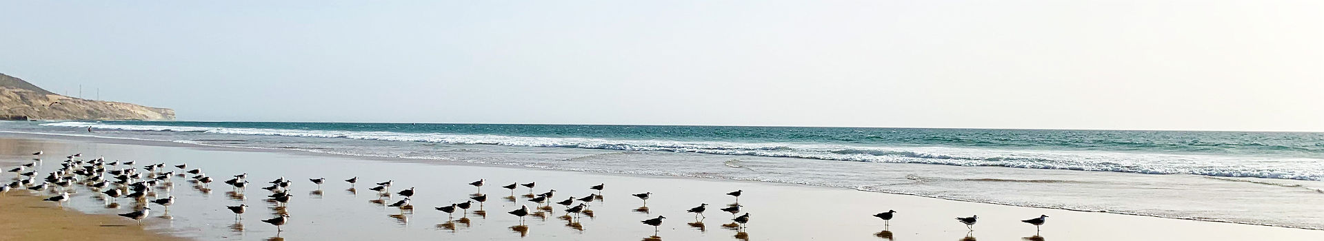 Plage proche d'Agadir, Maroc