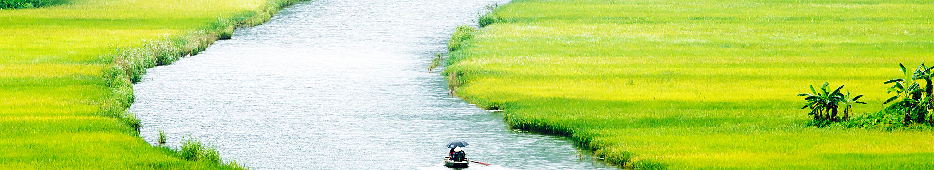 Vietnam - Traversée en bateau de la rivière Ngo Dong, entourée par ses champs de riz