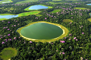 Brésil - Vue sur la région du Pantanal