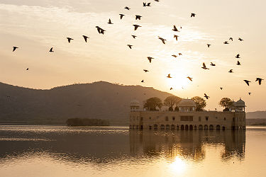 Inde -Palais Taj Mahal du lac Pichola au coucher de soleil, Udaipur