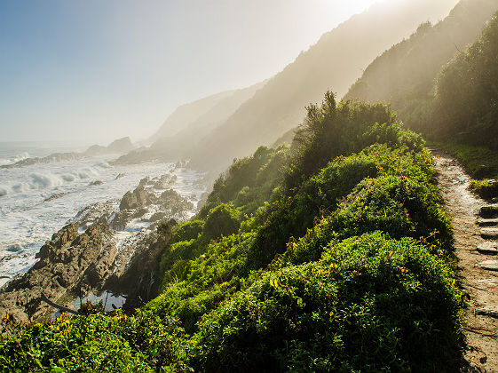 Afrique du Sud - Zone Tsitsikamma au parc national Garden Route