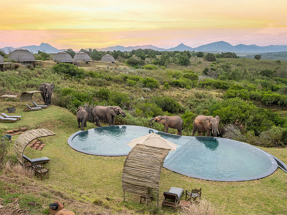 Kwena Lodge - Gondwana Game Reserve 