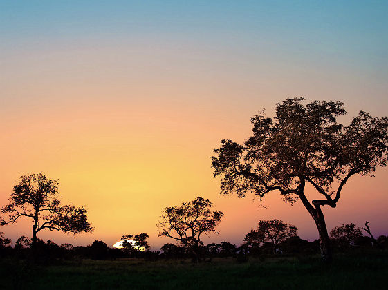 Coucher de soleil au parc Kruger