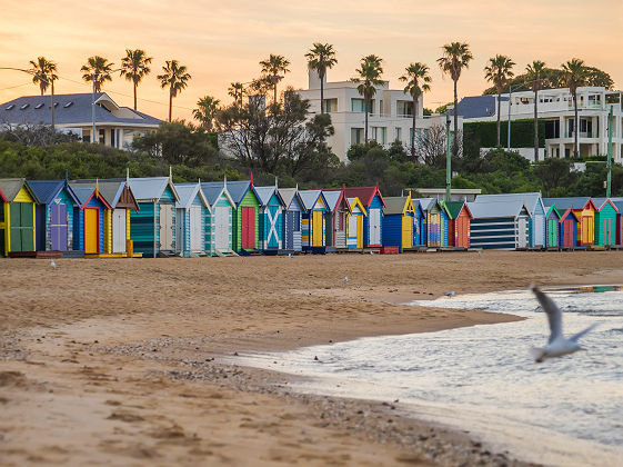 Australie - Rangée de cabanes colorées sur la plage Brighton à Melbourne 