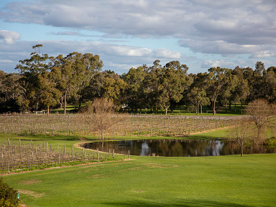 Swan Valley - Sandalford - Tourism Australia