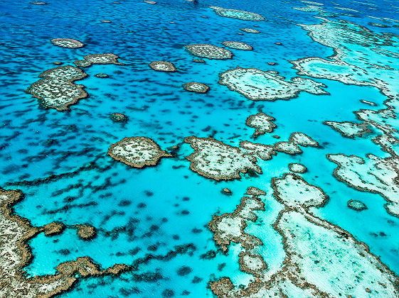 Grande barrière de Corail, Queensland - Australie