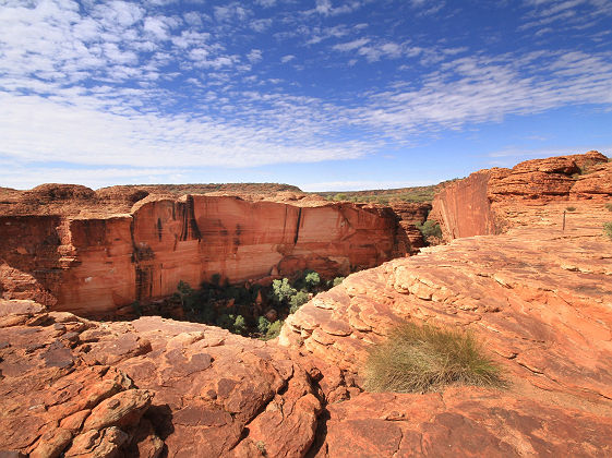 Kings Canyon (Parc National Watarrka), Petermann - Australie
