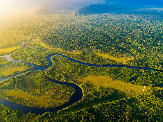 Vue aérienne du Pantanal - Brésil