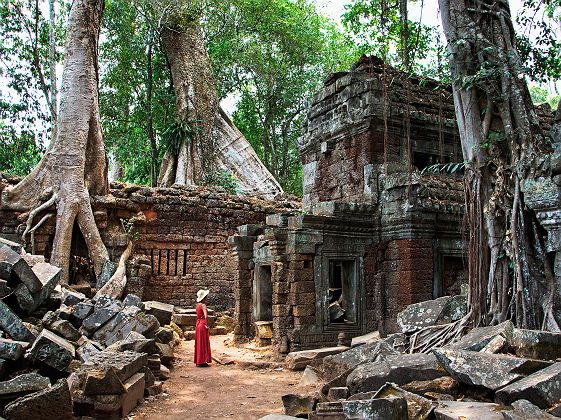Temple Ta Prohm, Angkor, près de Siem Reap - Cambodge