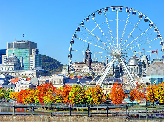 Automne à Montreal