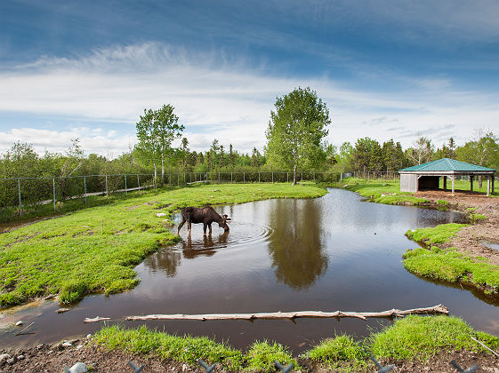 Hugo Lacroix_Tourisme Abitibi Temiscamingue_Refuge Pageau