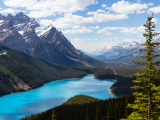 Lac Peyto, Parc National de Banff - Alberta, Canada