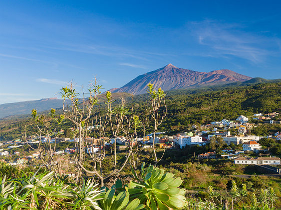 Paysage de Tenerife - Canaries (Espagne)