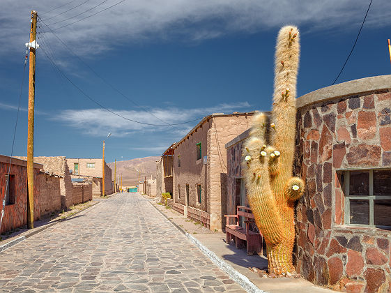 Rue de la ville de Cariquima, region de Tarapaca