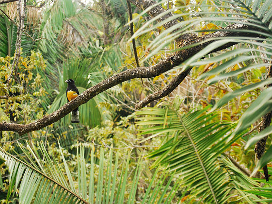 Nosara, Costa Rica