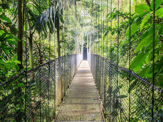 Pont suspendu du parc Arenal - Costa Rica