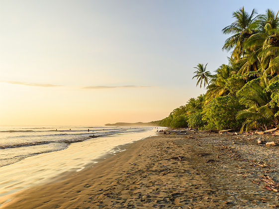 Plage paradisiaque d'Uvita au Costa Rica