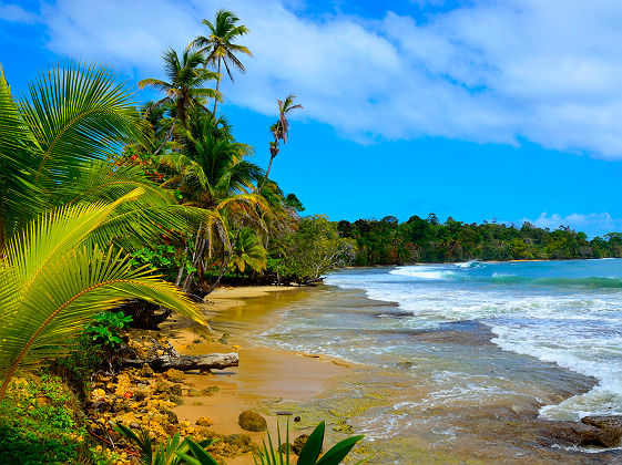 Plage Bocas Del Toro - Panama