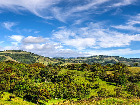 Costa Rica - Vue sur les collines et les plantations de café à Monteverde