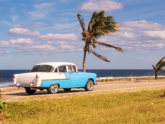 Vieille voiture et palmier sur la cote cubaine - Cuba