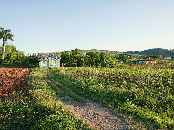 Ferme dans le paysage de la vallée de Vinales - Cuba