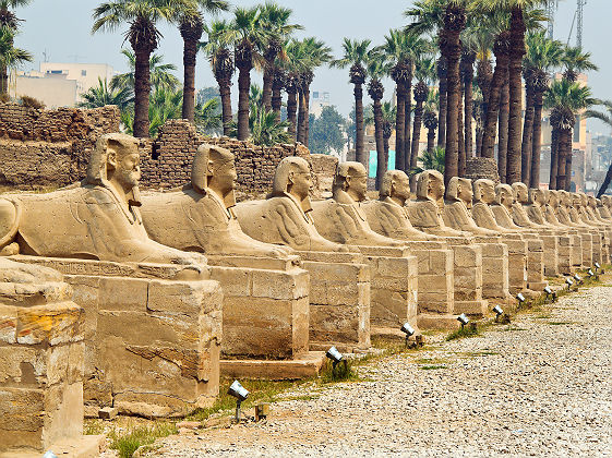 Rangée de statues tête de pharaon au temple Karnak à Louxor