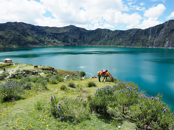 Lac Quilotoa - Equateur