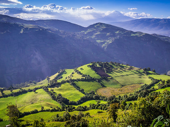 Paysage Andin près de Riobamba - Equateur