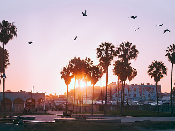 Venice Beach, Los Angeles - Etats-Unis