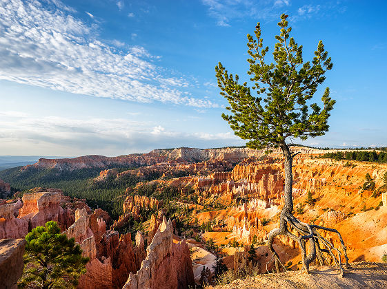 Etats-Unis - Au coeur du parc national Bryce Canyon à Utah